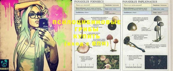 кокаин Балахна