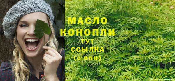 соль ск Снежинск