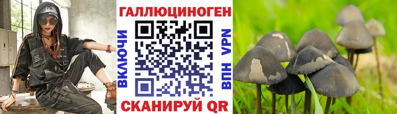 кракен ТОР закладки Билибино Псилоцибиновые грибы Cubensis