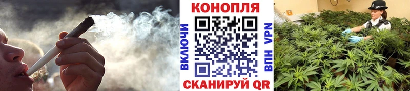 как найти   Билибино  Бошки Шишки индика 